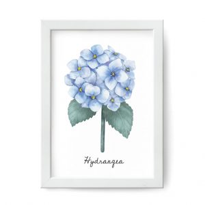 plakat niebieski kwiat