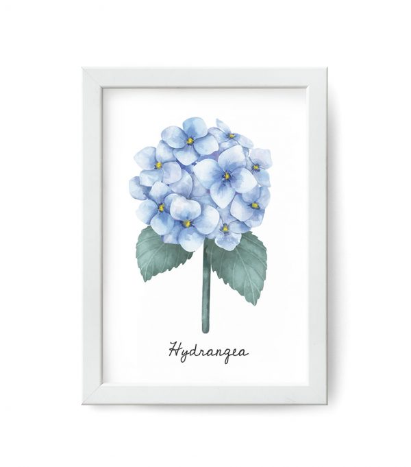 plakat niebieski kwiat