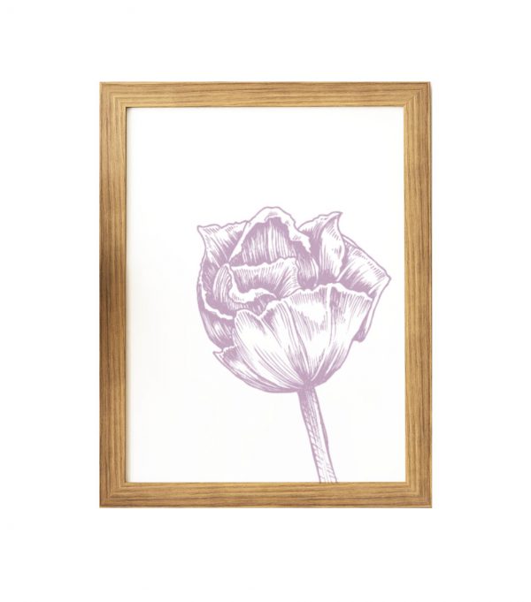 Plakat - fioletowy kwiat
