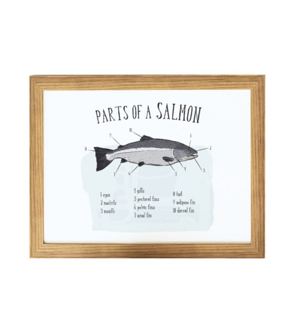 Plakat - parts of a salmon